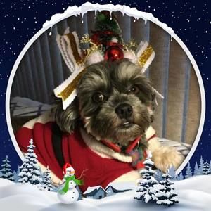 Meet your Posher, Diane